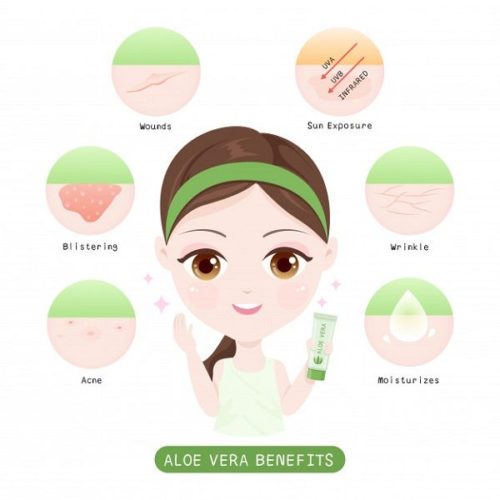 8 Benefits of Aloe Vera for Skin Overnight Aloe Vera for Skin Whitening
